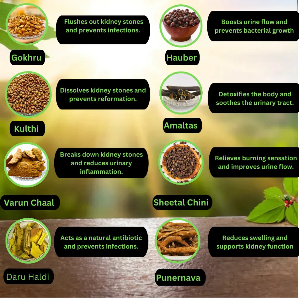 Copy of Copy of Copy of Glamour Stone Free syrup is a herbal supplement des_20250130_080905_0000.webp